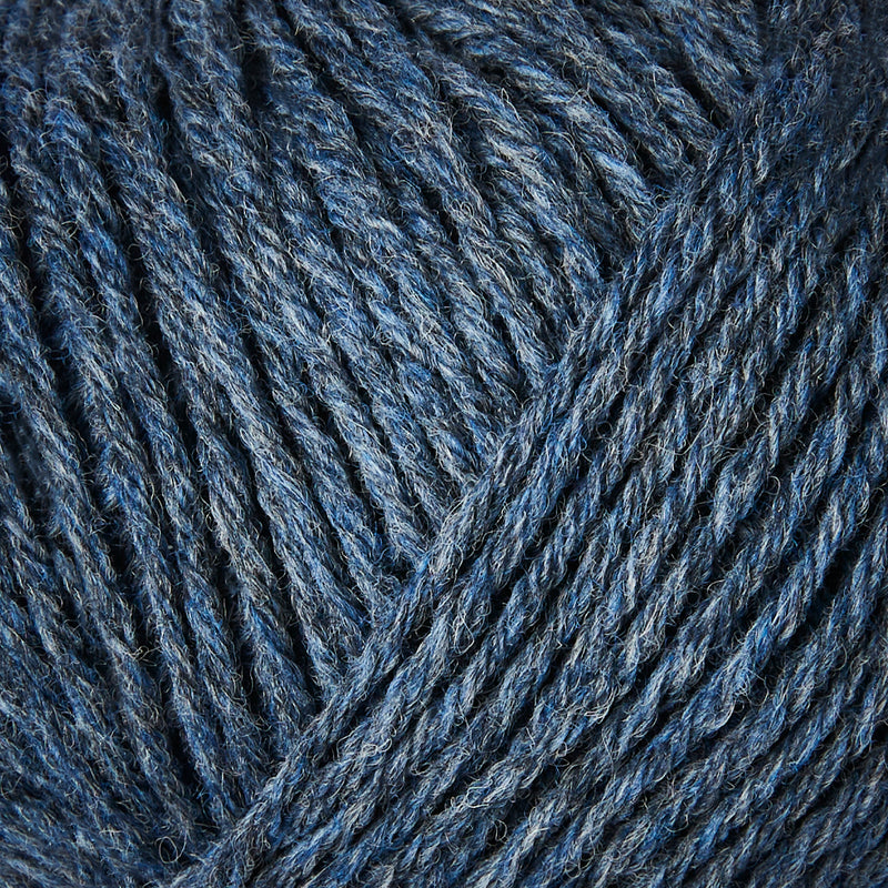 Blue Whale